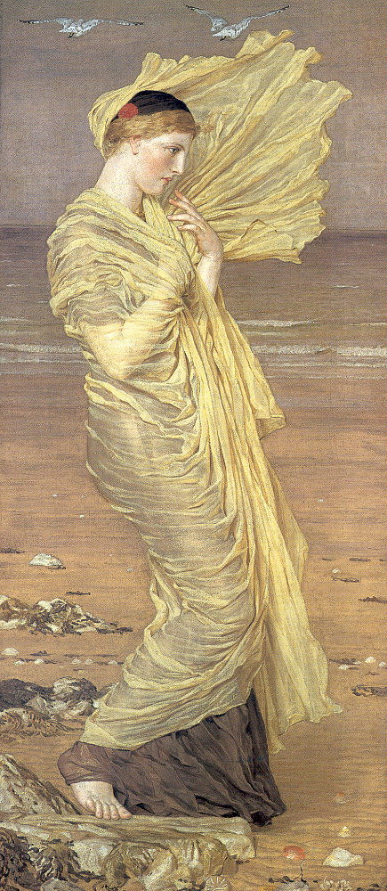 Seagulls by Albert Joseph Moore