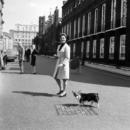 Ava Gardner in London in the 1970s, where she lived at Ennismore Gardens until her death in 1990