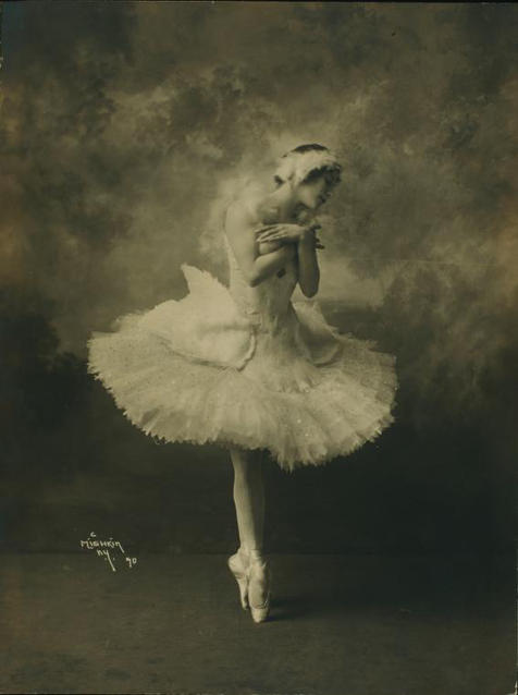 From elegance to vulgarity: the death of a dying swan
