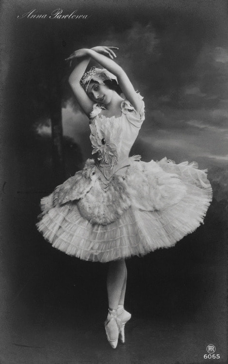 From elegance to vulgarity: the death of a dying swan