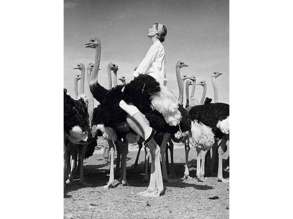 Norman Parkinson, CBE (21 April 1913 – 15 February 1990)