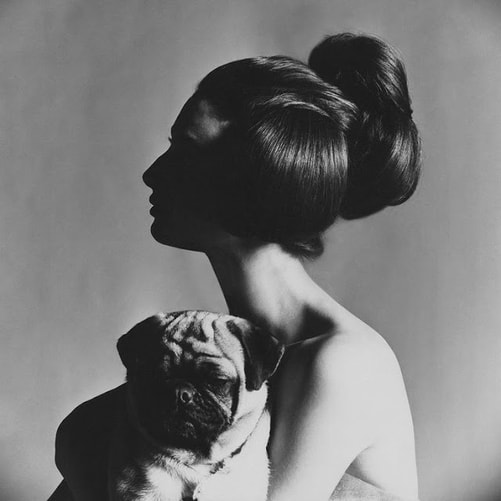 Allegra Caracciolo di Castagneto by Richard Avedon
