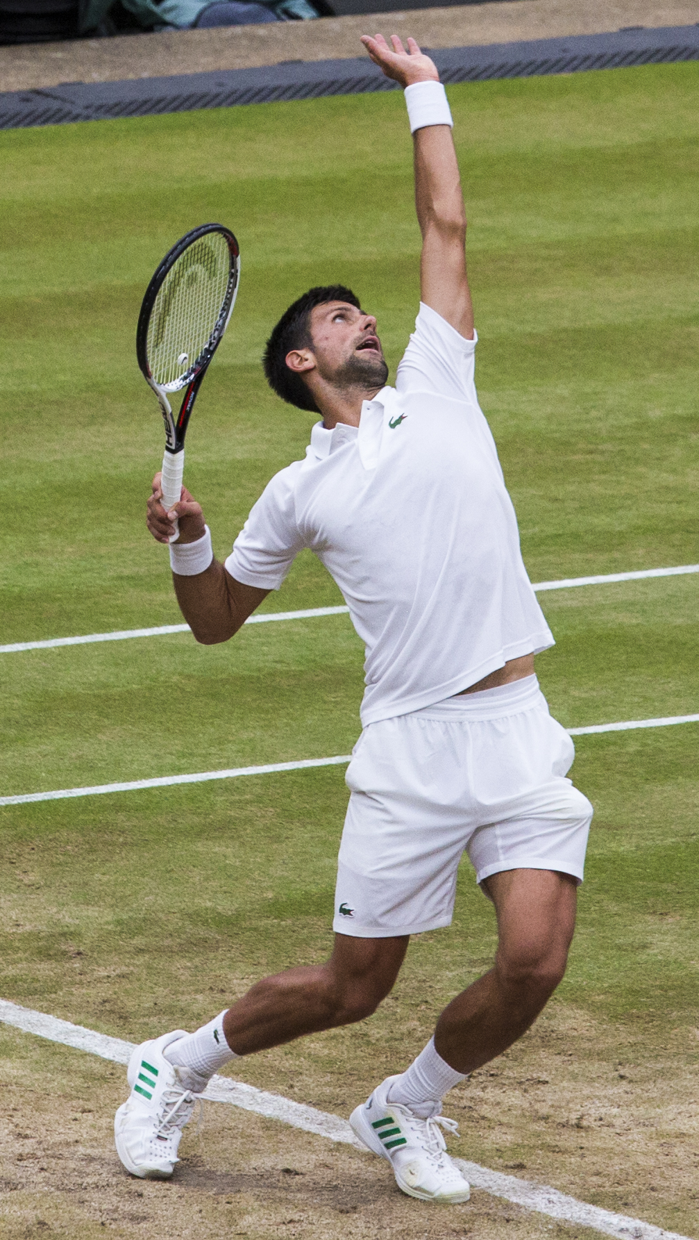 Novak Djokovic(22 May 1987)