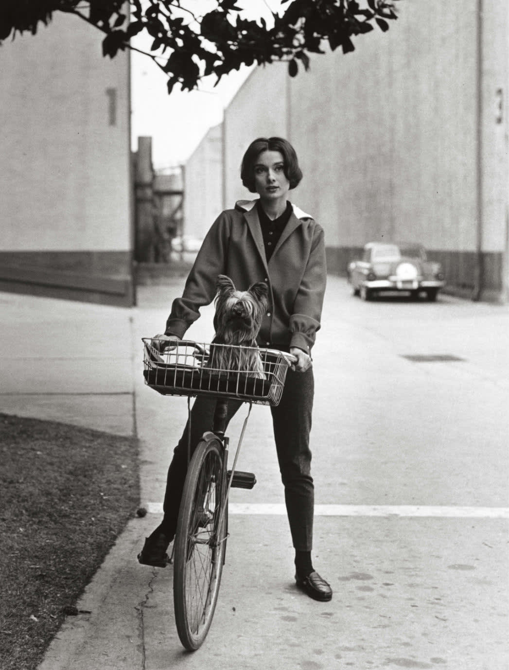 Elegant style icon wardrobe essentials: Audrey Hepburn in capri pants