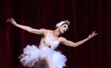 From elegance to vulgarity: the death of a dying swan
