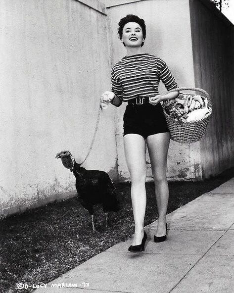Elegant style icon wardrobe essentials: A pair of high-waist shorts: Romy Schneider in a pair of shorts 