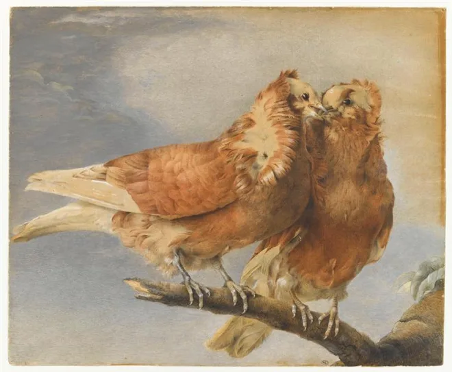 Two Pigeons on a Tree Branch by Marie-Thérèse Reboul (26 February 1735 – 28 December 1805)