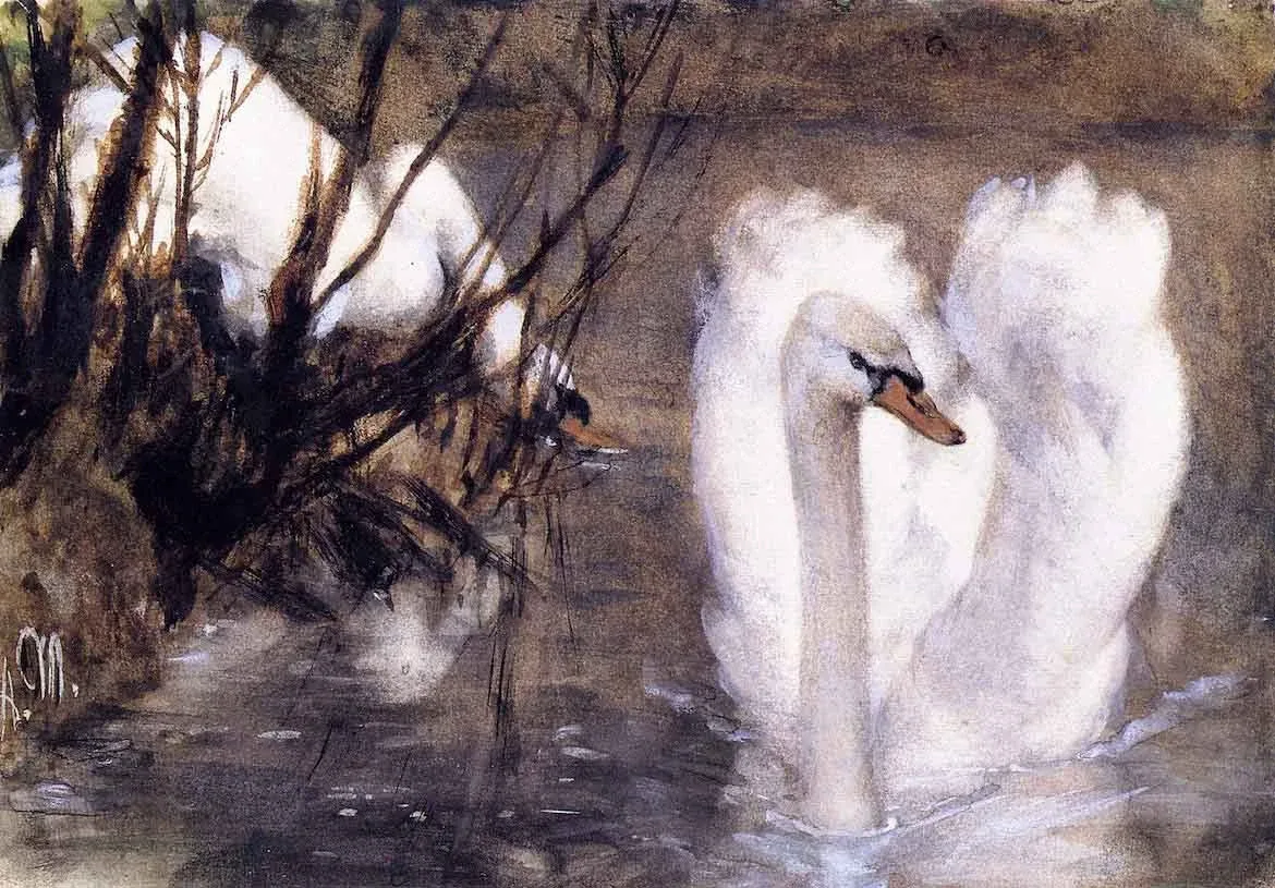Two swans (Deux cygnes) by  by Adolph von Menzel